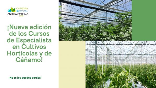 Fyneco participa en la Cátedra AgritechMurcia-UPCT