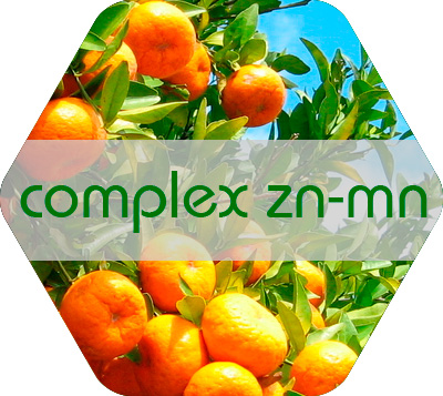 Complex Zn-Mn